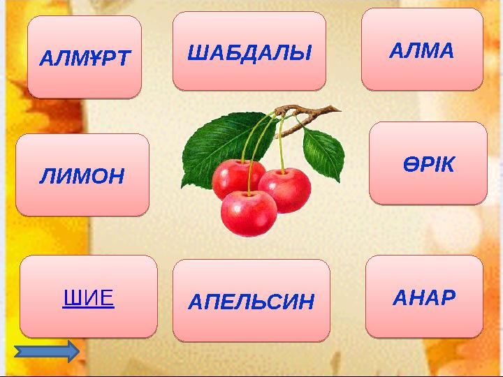 АЛМҰРТ АЛМА ШИЕ ӨРІК ЛИМОН АПЕЛЬСИНШАБДАЛЫ АНАРАЛМҰРТ АЛМА ШИЕ ӨРІК ЛИМОН АПЕЛЬСИН ШАБДАЛЫ АНАР