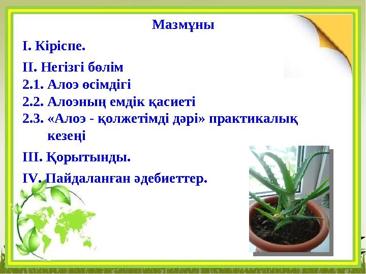 Мазмұны І. Кіріспе. ІІ. Негізгі бөлім 2.1. Алоэ өсімдігі 2.2. Алоэның емдік қасиеті 2.3. «Алоэ - қолжетімді дәрі» практикалық