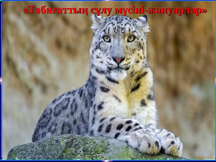 Өсімдіктер: қаражусан,жатаған изен, бұтақараған,көкпек,теріскен. Дала жануарлары: саршұнақ,тасбақа, тышқан,түлкі,қасқыр,қарсақ,