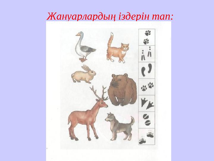 Жануарлардың іздерін тап: