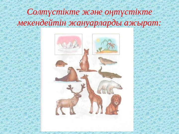 Солтүстікте және оңтүстікте мекендейтін жануарларды ажырат: