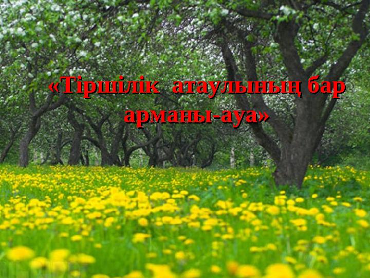 «Тіршілік атаулының бар «Тіршілік атаулының бар арманы-ауа»арманы-ауа»