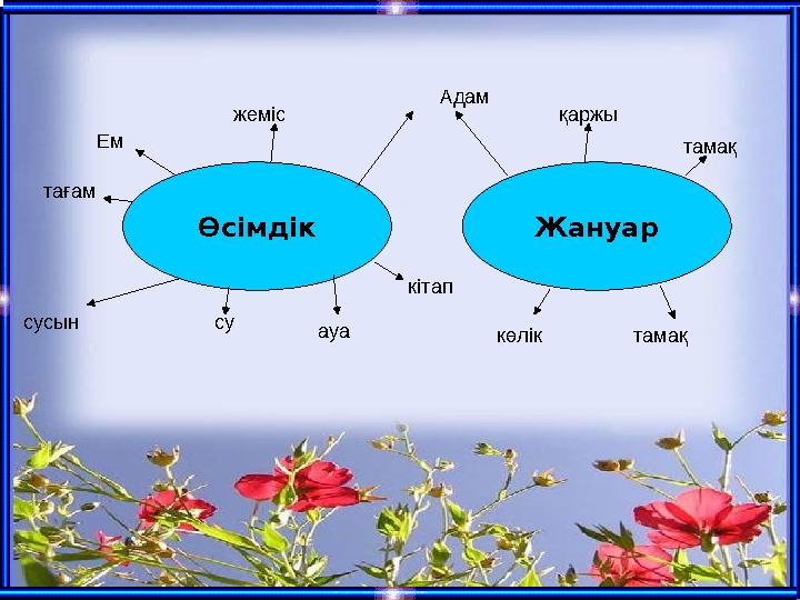 ЖануарӨсімдік Ем су ауа жеміс тамақ сусын тағам кітап қаржы тамақ көлік Адам