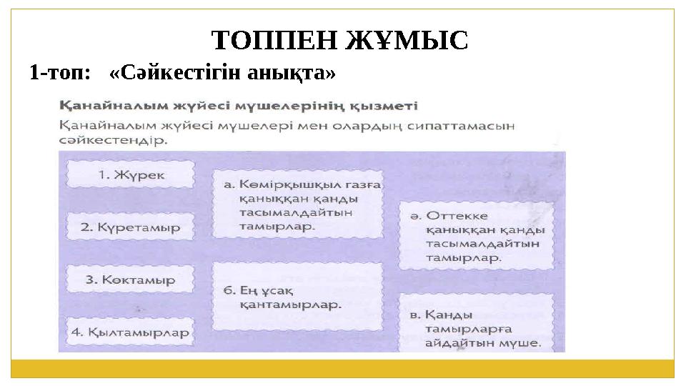 ТОППЕН ЖҰМЫС 1-топ: «Сәйкестігін анықта»