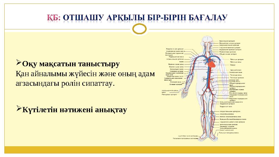 Күтілетін нәтижені анықтау Оқу мақсатын таныстыру Қан айналымы жүйесін және оның адам ағзасындағы ролін сипаттау.