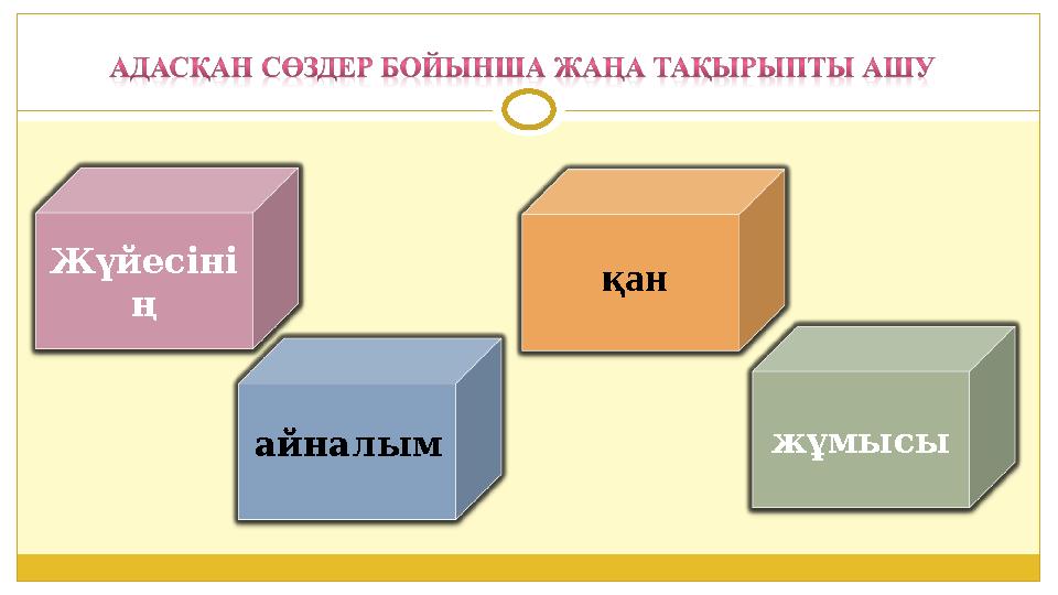 қан Жүйесіні ң жұмысыайналым