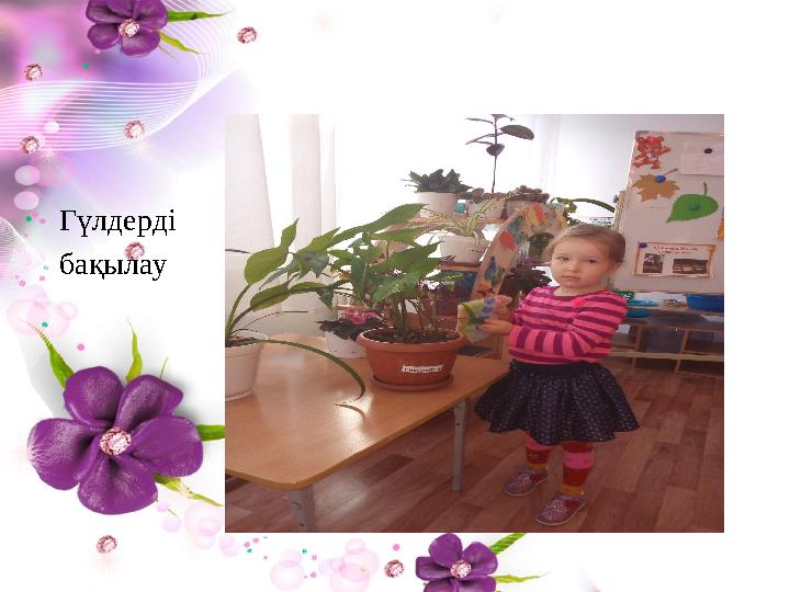 ГГГГггГГүГ Гүлдерді бақылау