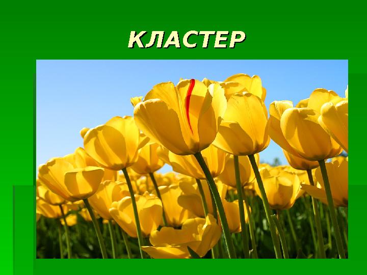 КЛАСТЕРКЛАСТЕР