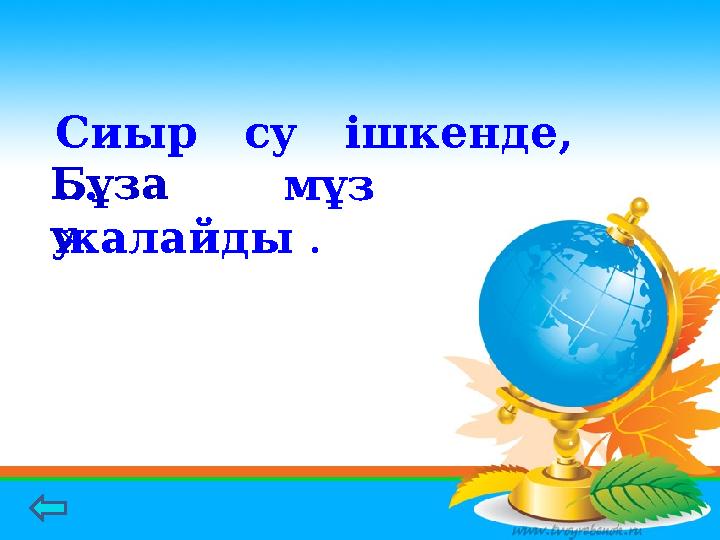 Бүкіл денені жалайды