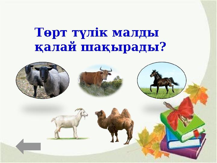 Төрт түлік суреті