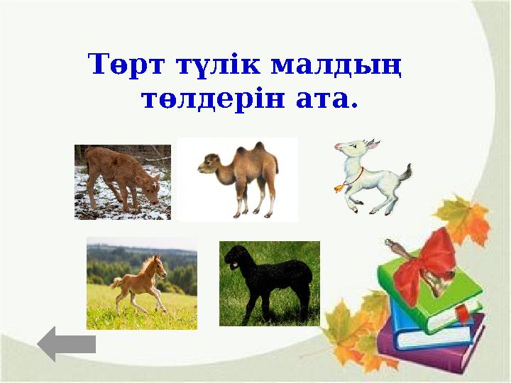 Төрт түлік малдың төлдерін ата.