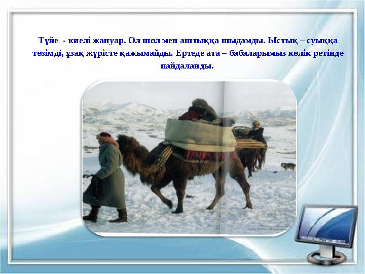 Түйе - киелі жануар. Ол шөл мен аштыққа шыдамды. Ыстық – суыққа төзімді, ұзақ жүрісте қажымайды. Ертеде ата – бабаларымыз көлі