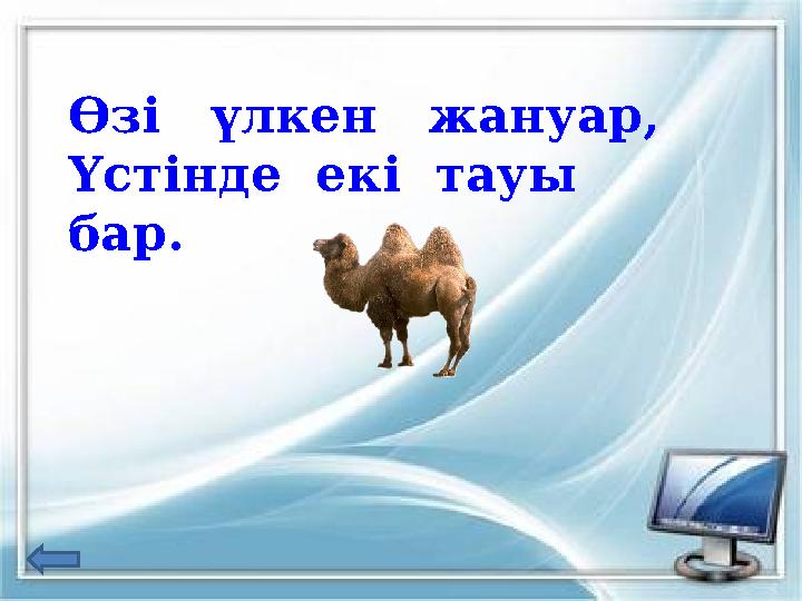 Өзі үлкен жануар, Үстінде екі тауы бар.
