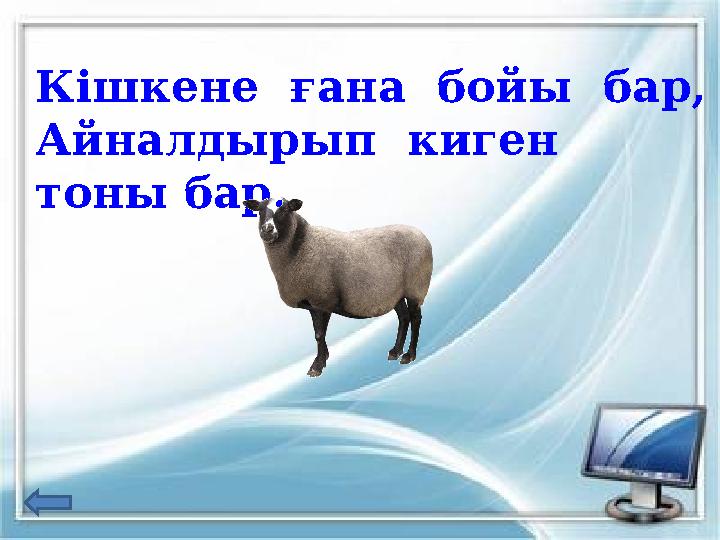 Кішкене ғана бойы бар, Айналдырып киген тоны бар.