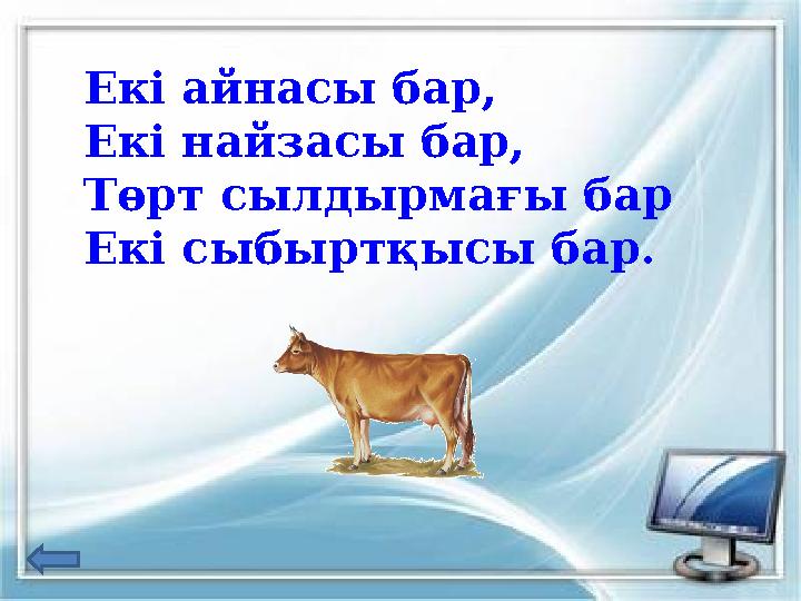 Екі айнасы бар, Екі найзасы бар, Төрт сылдырмағы бар Екі сыбыртқысы бар.