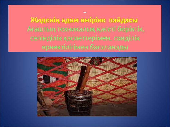 .. Жиденің адам өміріне пайдасы Ағаштың техникалық қасеті беріктік, сепінділік қасиеттерімен, сәнділік өрнектілігімен бағ