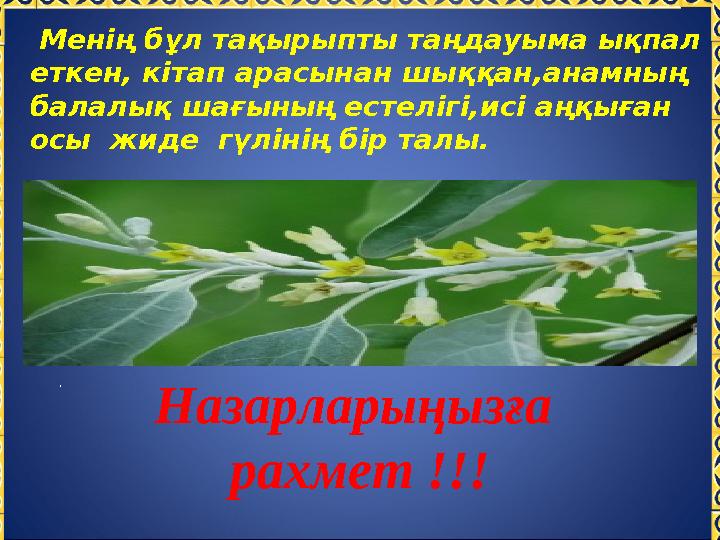 . Менің бұл тақырыпты таңдауыма ықпал еткен, кітап арасынан шыққан,анамның балалық шағының естелігі,исі аңқыған осы жиде г