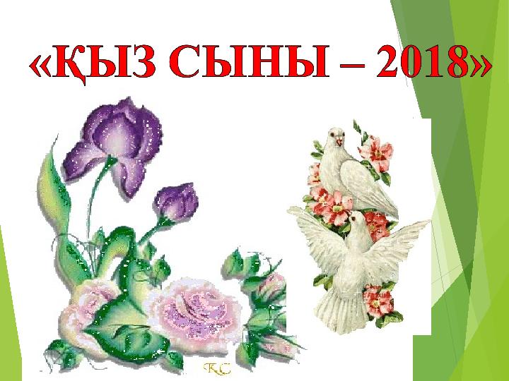 Наразы әйел порно видеоға алданып қалды.