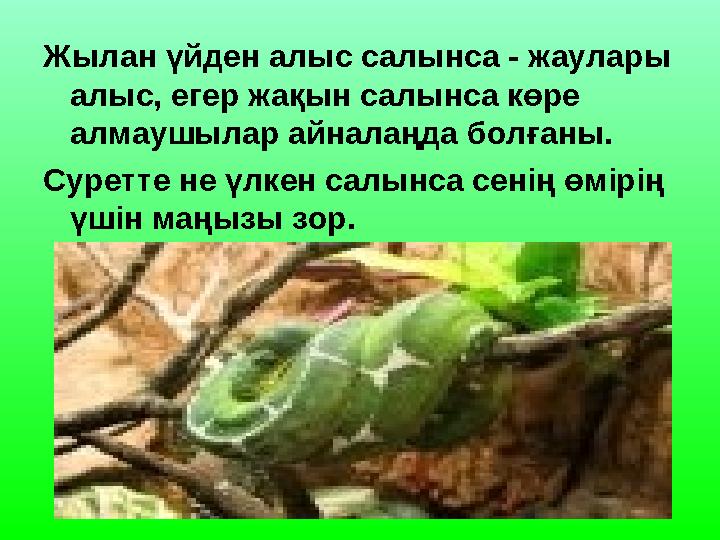 Жылан үйден алыс салынса - жаулары алыс, егер жақын салынса көре алмаушылар айналаңда болғаны. Суретте не үлкен салынса сенің