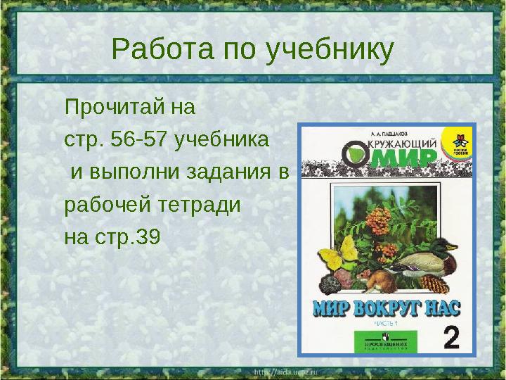 Работа по учебнику Прочитай на стр. 56-57 учебника и выполни задания в рабочей тетради на стр.39