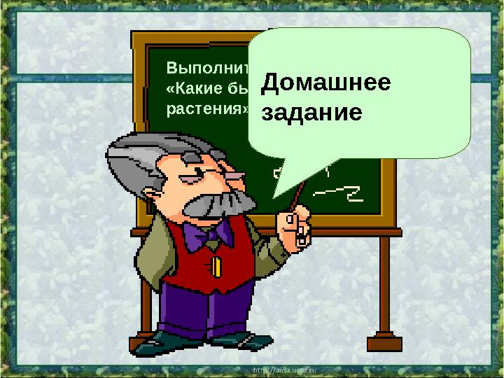 Выполнить тест: «Какие бывают растения». Домашнее задание