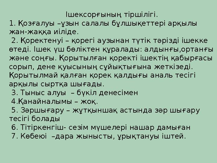Порно Джена Жақсы