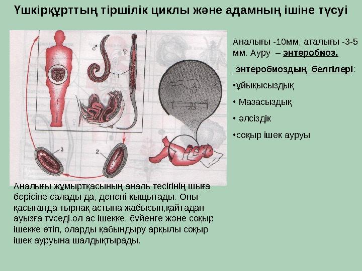 Елена Берковамен бірге орыс порносын онлайн көріңіз