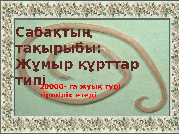 Тип Круглые черви Сабақтың тақырыбы: Жұмыр құрттар типі 20000- ға жуық түрі тіршілік етеді