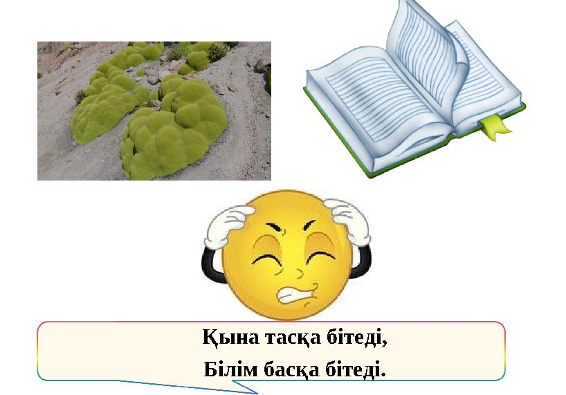 Қына тасқа бітеді, Білім басқа бітеді.