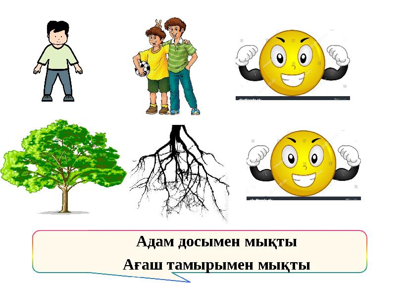 Адам досымен мықты Ағаш тамырымен мықты