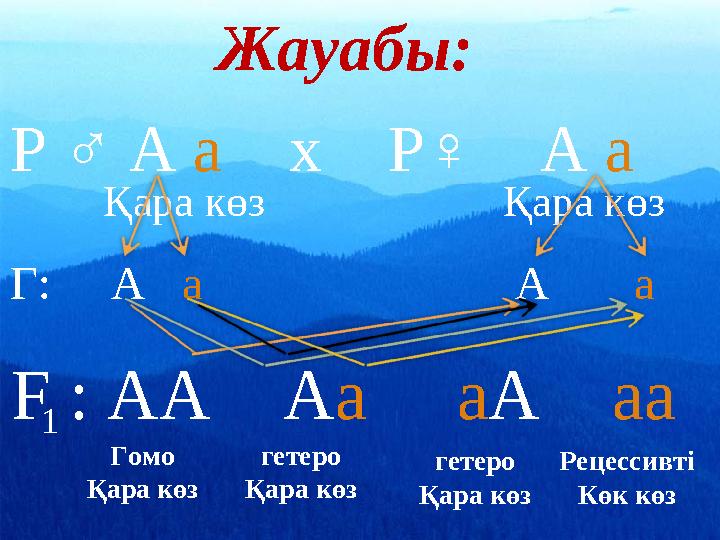 Жауабы: Р ♂ А а х Р♀ А а Г: А а А а Қара көз Қара көз F : АА Аа аА аа 1