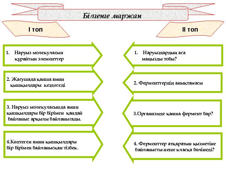 Білгенге маржан Білгенге маржан І топ ІІ топ 1.Нәруыз молекуласын құрайтын элементтер 1.Нәруыздардың аса маңыз