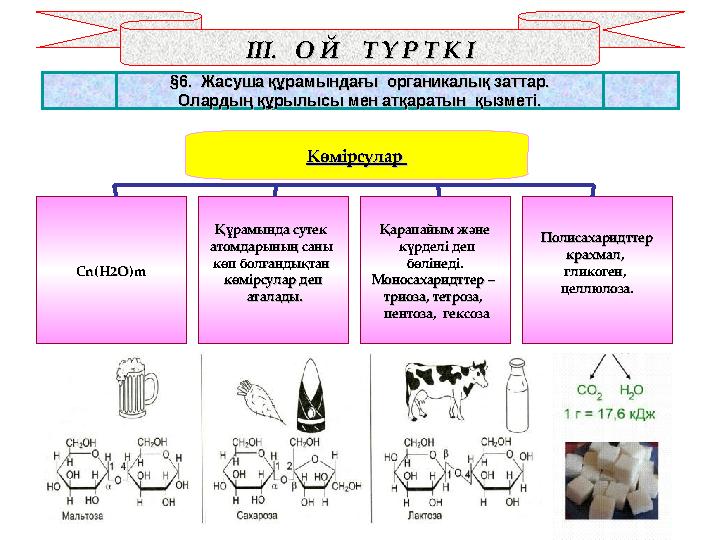 ІІІ. О Й Т Ү Р Т К ІІІІ. О Й Т Ү Р Т К І §§6. 6. Жасуша құрамындағы органикалық заттар. Жасуша құрамындағы орган