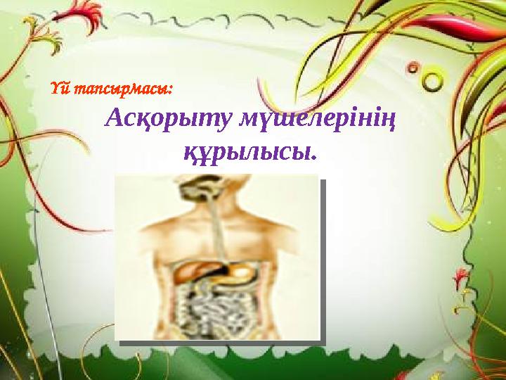 Үй тапсырмасы: Асқорыту мүшелерінің құрылысы.