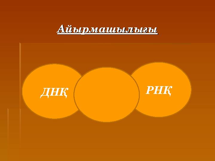 АйырмашылығыАйырмашылығы РНҚДНҚ
