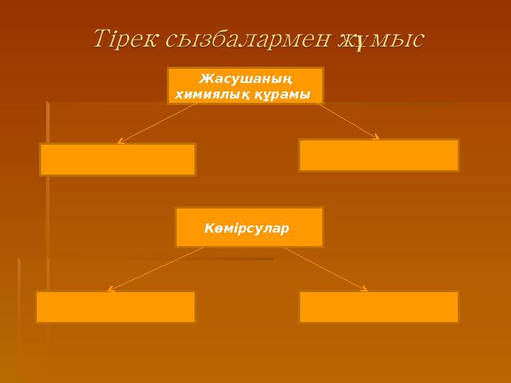 Жасушаның химиялық құрамы Көмірсулар