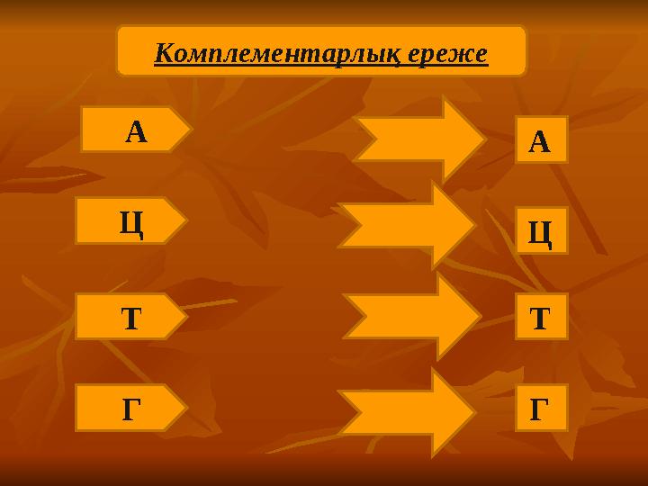 А Ц Т Г А Г Т Ц Комплементарлық ереже