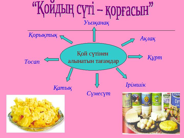 Қой сүтінен алынатын тағамдар Қатық Сүмесүт Тосап Құрт Ірімшік Ақлақ Уызқанақ Қорықтық