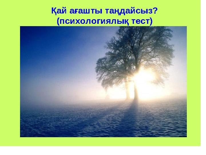 Қайағаштытаңдайсыз? (психологиялықтест)