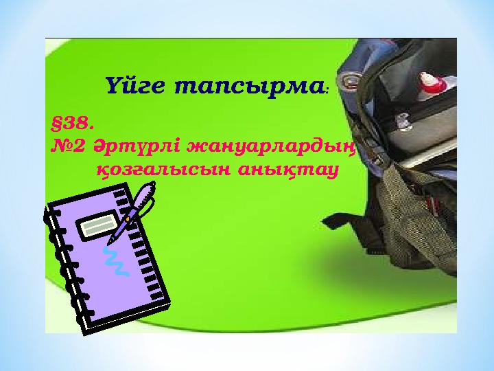 Үйге тапсырма : §38. №2 Әртүрлі жануарлардың қозғалысын анықтау