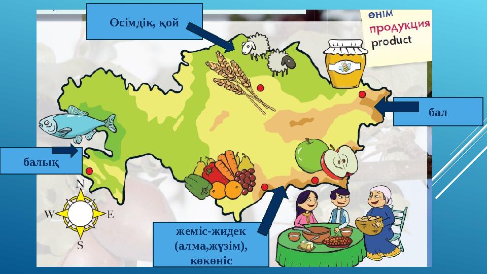 Өсімдік, қой бал балық жеміс-жидек (алма,жүзім), көкөніс