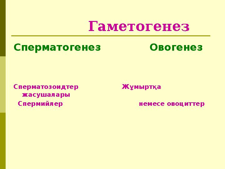 Гаметогенез Сперматогенез Овогенез Сперматозоидтер Жұмыртқа жасушалары Сп