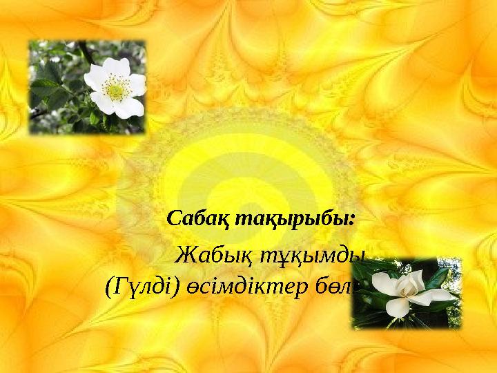 img_page_1