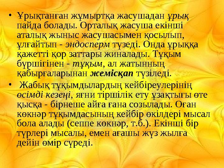 •Ұрықтанған жұмыртқа жасушадан ұрық пайда болады. Орталық жасуша екінші аталық жыныс жасушасымен қосылып, ұлғайтып - эндоспер