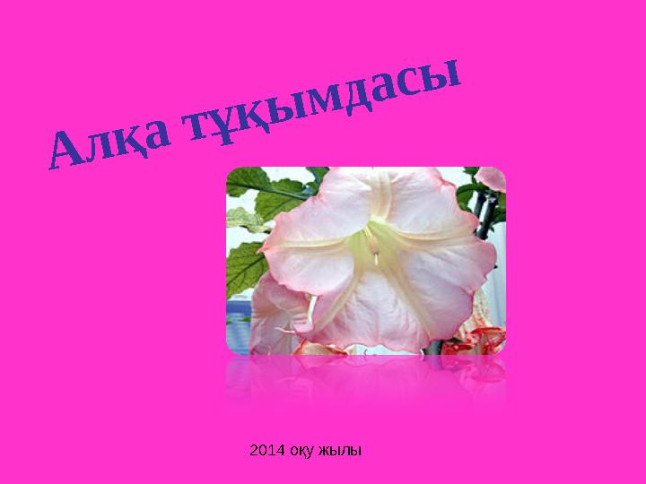 img_page_1