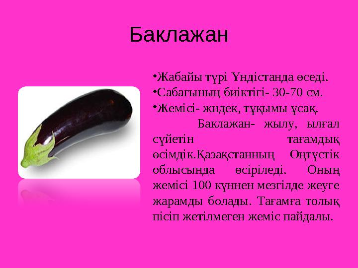 Баклажан •Жабайы түрі Үндістанда өседі. •Сабағының биіктігі- 30-70 см. •Жемісі- жидек, тұқымы ұсақ. Баклажан- жылу, ылғал сү