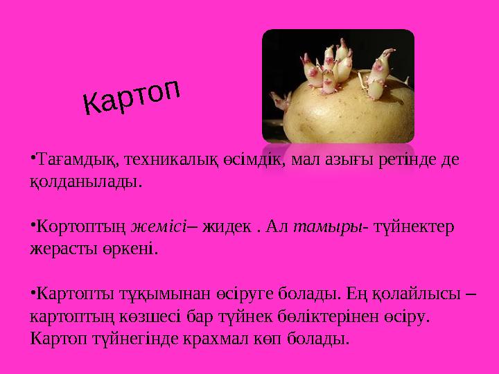Картоп •Тағамдық, техникалық өсімдік, мал азығы ретінде де қолданылады. •Кортоптың жемісі– жидек . Ал тамыры- түйнектер жерас