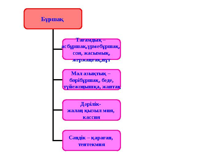 Бұршақ Тағамдық – асбұршақ,үрмебұршақ, соя, жасымық, жержаңғақ,нұт Мал азықтық – бөрібұршақ, беде, түйежоңышқа, жантақ