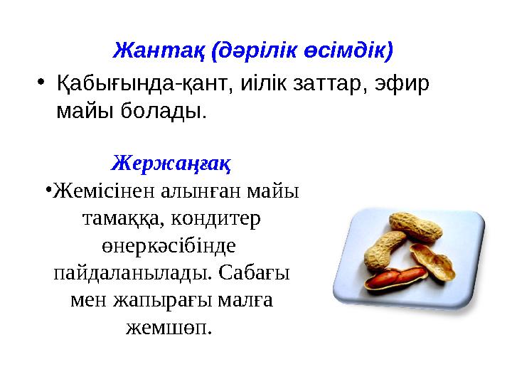 Жантақ (дәрілік өсімдік) •Қабығында-қант, иілік заттар, эфир майы болады. Жержаңғақ •Жемісінен алынған