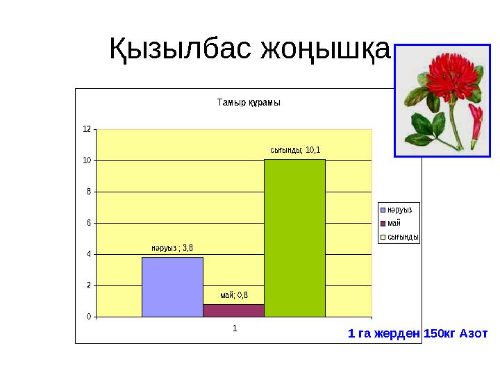 Қызылбас жоңышқа Тамыр құрамы нәруыз ; 3,8 май; 0,8 сығынды; 10,1 0 2 4 6 8 10 12 1 нәруыз май сығынды 1 га жерден 150кг Азот